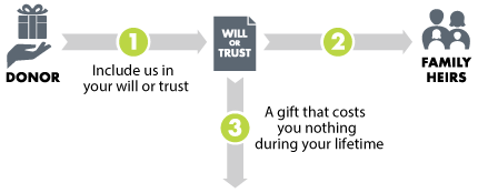 This diagram represents how to leave a gift through your will or trust – a gift that costs nothing during lifetime.